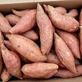 山东烟台市烟薯25种植收购大量批发;