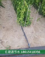 驻马店山药滴灌高产栽培技术安装图;