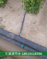 安阳山药高效节水灌溉施肥技术;