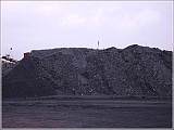 供应府谷煤，神木煤，电煤，面煤，洗精煤，低硫煤
