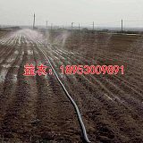 东明小麦3寸微喷带过滤施肥设备;