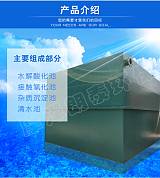 东港小型美体中心污水处理设备定做加工;