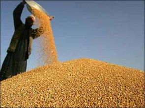 汉江常年现金收购玉米荞麦黄豆高粱碎米等农副产品