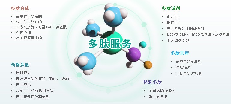 合成多肽,全国合成多肽,上海合成多肽