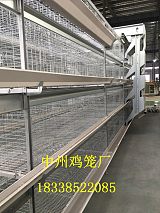安徽鸡笼厂供应层叠鸡笼全自动鸡用清粪机