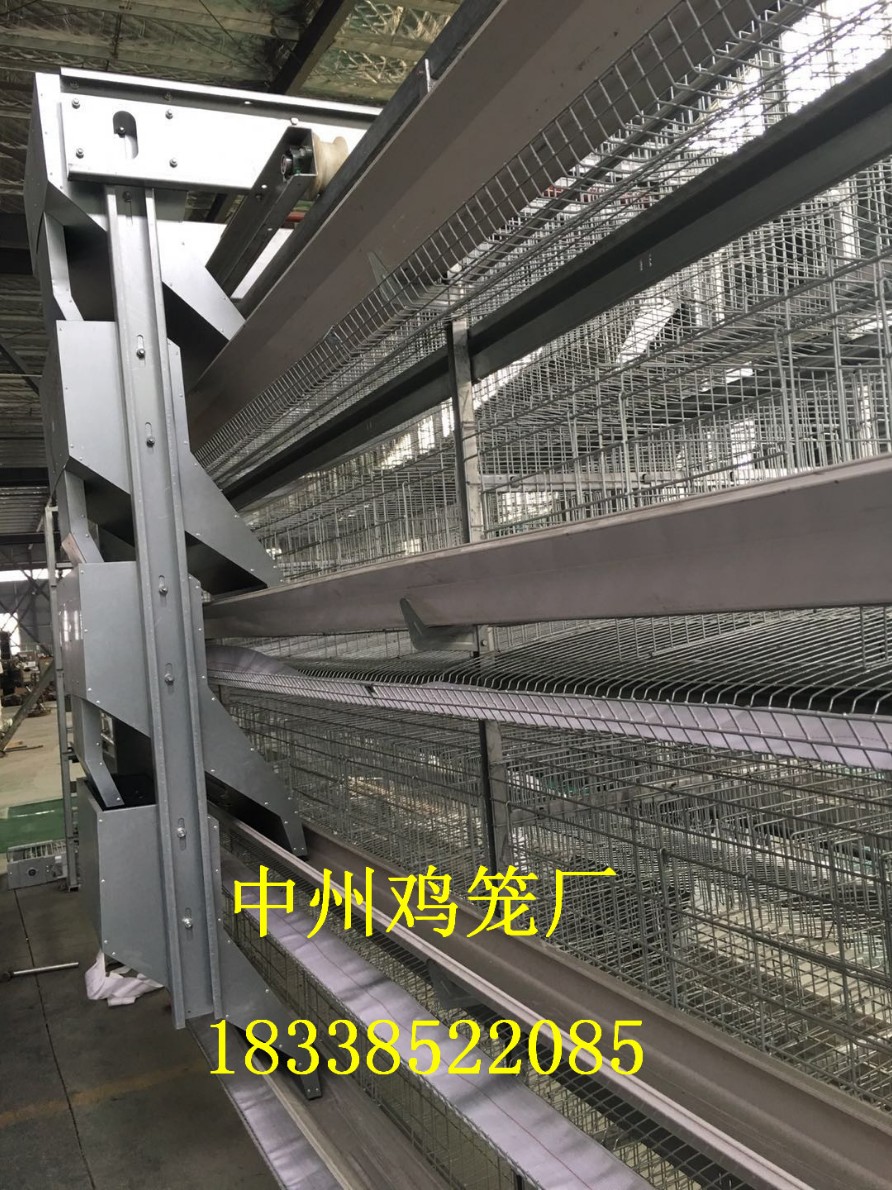 湖北鸡笼厂供应阶梯式鸡笼层叠养鸡设备