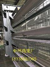 湖北鸡笼厂供应阶梯式鸡笼层叠养鸡设备
