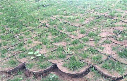 供应高速边坡植草护坡绿化土工格室有效防水土流失土工格室