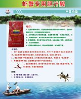 龙昌胆汁酸保护河蟹肝胰脏，防治河蟹上草趴边，增强肝脏解排毒