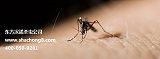 杀虫公司东方汉诺告诉你蚊子喜欢藏在家里的什么地方;