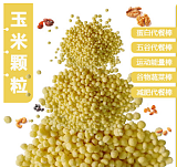 广州赢特能量棒/代餐棒以及固体饮料用 膨化玉米颗粒 玉米粒食品级;
