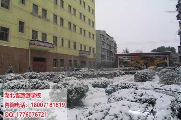 湖北省旅游学校招生条件