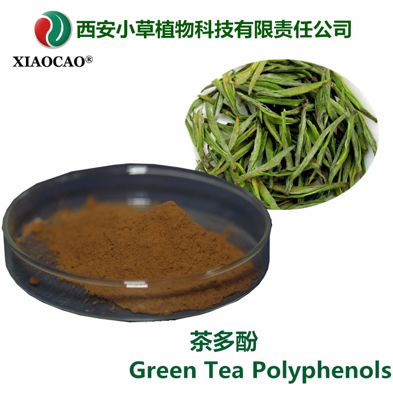 茶多酚30%~95% 绿茶天然提取 规格可定制