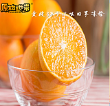 “原始地带”品牌爱媛38果冻橙鲜果;