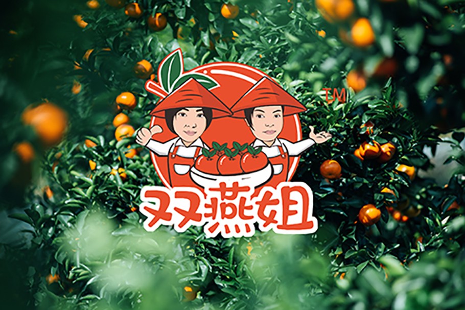 双燕姐柑橘-四好柑橘品牌