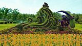 北京绿雕草雕设计制作;
