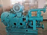 WB/WBR型电动往复泵生产厂家;
