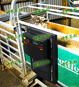 北京中农基业养牛设备自动称重器采用304不锈钢制作;