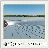 钛锌板厂家金属屋面板法锌矮立边YX25-430;
