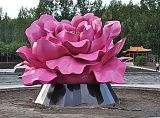 江苏大型植物牡丹花雕塑 不锈钢花朵摆件定制;