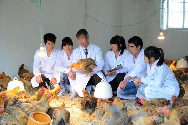 畜禽生产与疾病预防