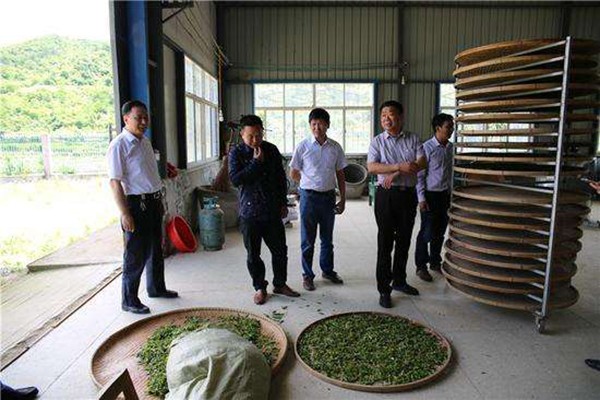 茶叶生产与加工