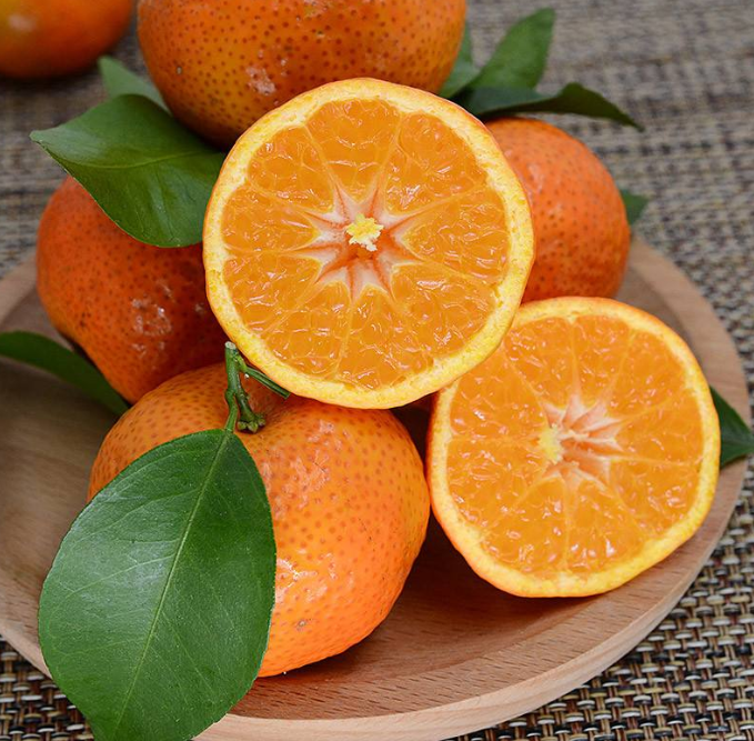 广东砂糖橘水果批发市场