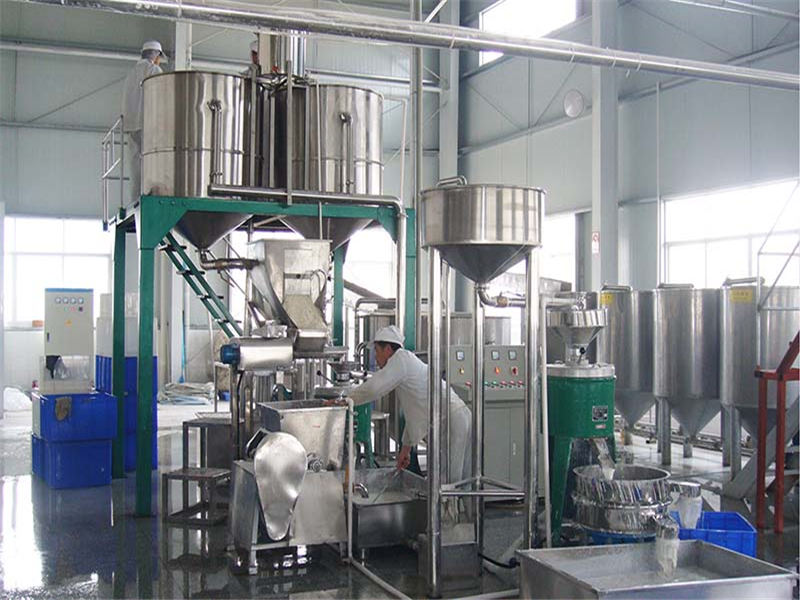 即食干河粉生产线 大型干粿条生产线设备 自动化即食干米皮生产线