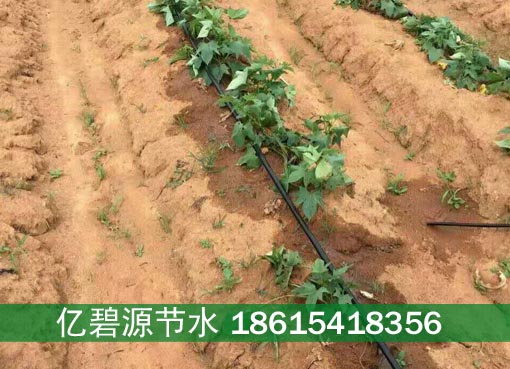 杭州菜地节水边缝式滴灌带检测报告