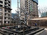 四川小区安装梅花树雕塑 不锈钢镜面植物景观图