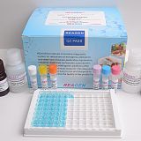 REAGEN庆大霉素ELISA检测试剂盒;