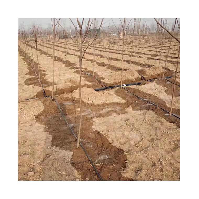 甘肃半夏苗木灌溉系统管道安装方案