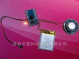 深圳电控板芯片，小家电控制板语音IC,语音提示芯片10-3000秒;