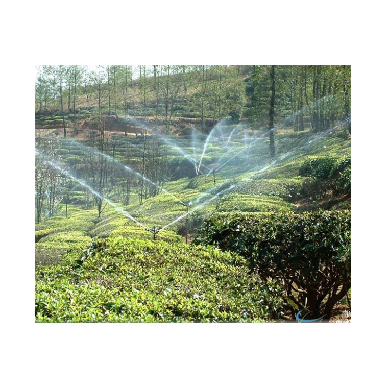 新乡园林绿化灌溉新型地埋喷灌喷头