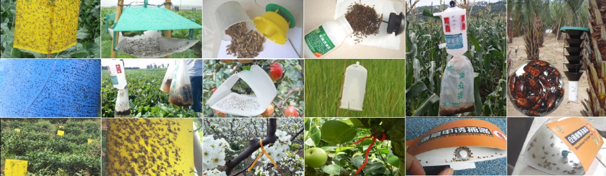农业病虫害防治 生态农业 病虫害整体解决方案 捕虫器 昆虫诱芯
