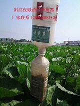 农业害虫诱捕器 塑料捕虫器 昆虫性诱捕 害虫生物防治;