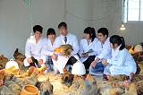 畜禽生产与疾病防治专业;