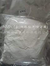 烟酰胺单核苷酸厂家大降价 NMN原料现货直销 月产1000kg 免费寄样