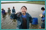养殖;