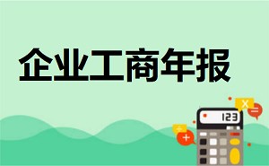 企业如何进行年度业务报告如何填写