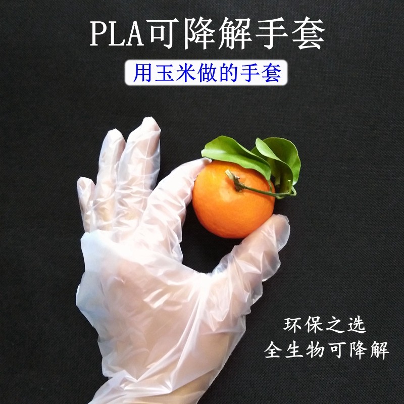 PLA可降解一次性手套食品餐饮塑料透明加厚耐用食品级家用盒装抽取