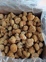 黑龙江海林猴头菇及周边产品产地直销