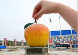 常州城市广场 不锈钢苹果雕塑 彩绘水果雕塑图