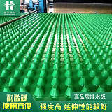 安庆2公分耐根刺排水板小区绿化疏水板;