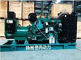 江苏国际玉柴品牌柴油发电机组型号MR-300 现货供应国三排放标准;