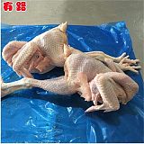 有路冷冻生品鸡肉579公鸡板冻箱装规格齐全质量优良;