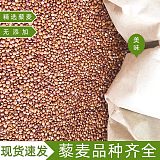 广东厂家批发进口红藜麦 家用五谷杂粮藜麦米
