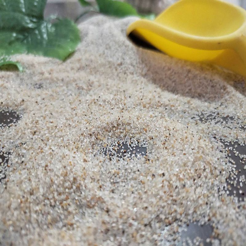 青岛幼儿园海沙 儿童娱乐白沙 细沙 水洗无尘沙