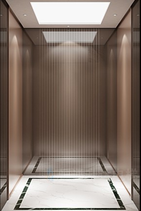 家用微型电梯报价 螺杆式电梯 自建房电梯安全稳定