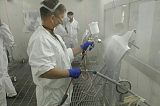 汽车车身维修技术;